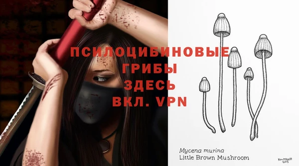 jwh Абаза