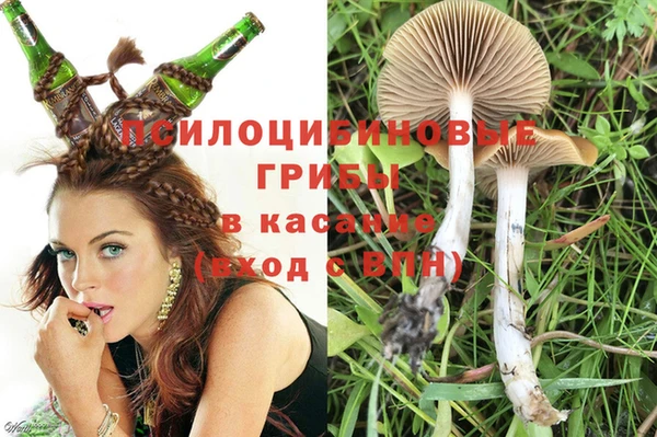 стаф Абдулино