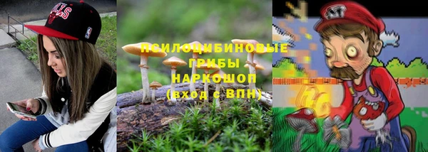 стаф Абдулино